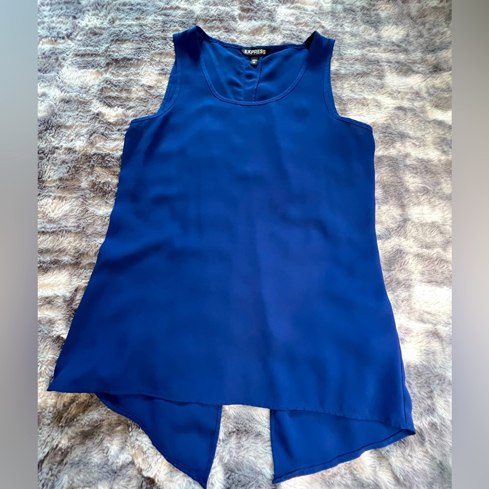 Blue express blouse